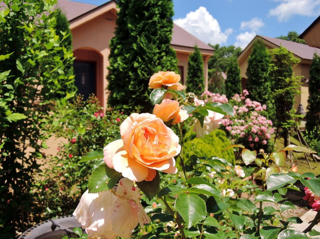 נאסו Aromatic Garden Villa La Poltrona מראה חיצוני תמונה